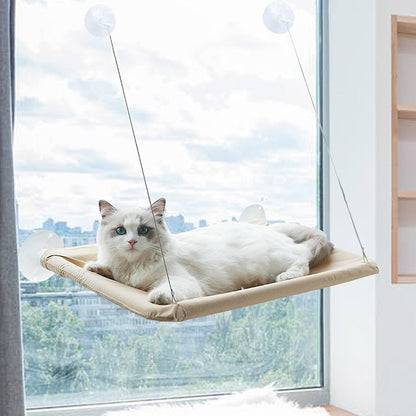 Cat Hammock